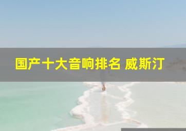 国产十大音响排名 威斯汀